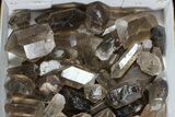 Lot: Lbs Smoky Quartz Crystals (-) - Brazil #77843-1